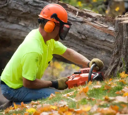 tree services Wilder